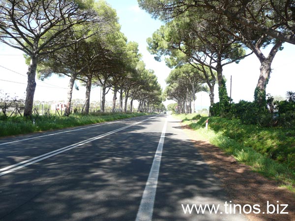 Ladispoli 1059