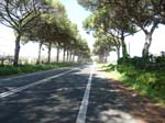 Ladispoli 1059
