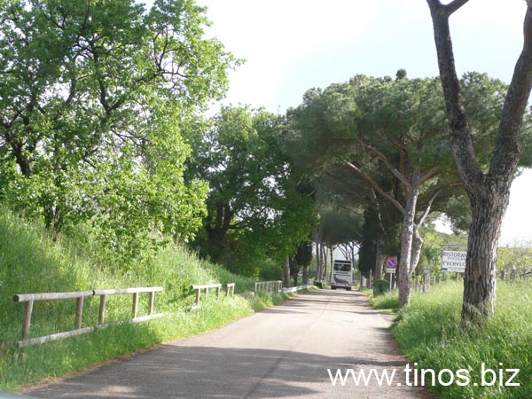 Ladispoli 165