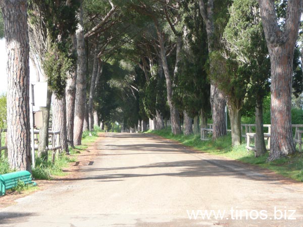 Ladispoli 168