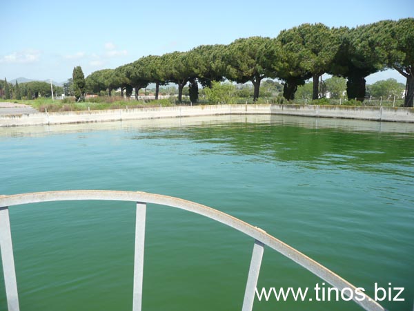 Ladispoli 367