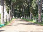Ladispoli 168