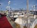 scout_boats5