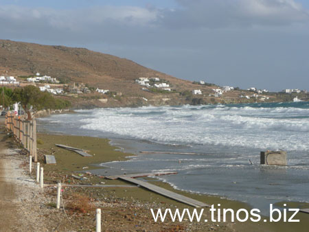 notias 079
