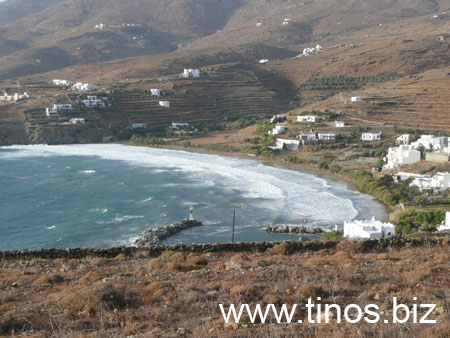 notias 088