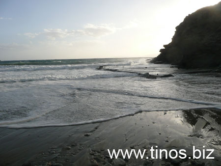 notias 102
