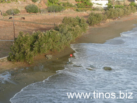 notias 114