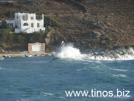 notias 128