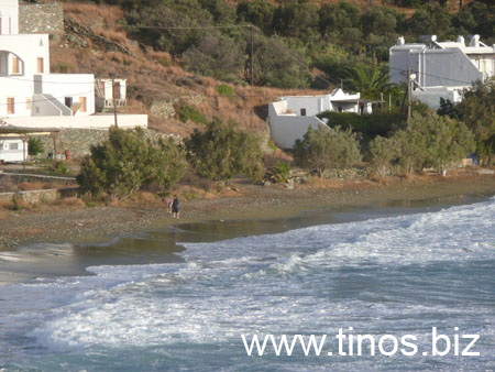 notias 133