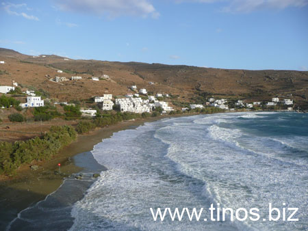 notias 136