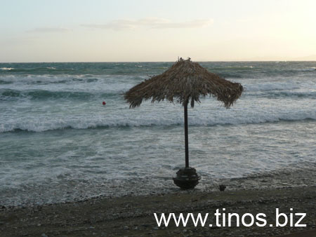 notias 149