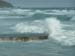 notias 065