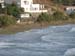 notias 137