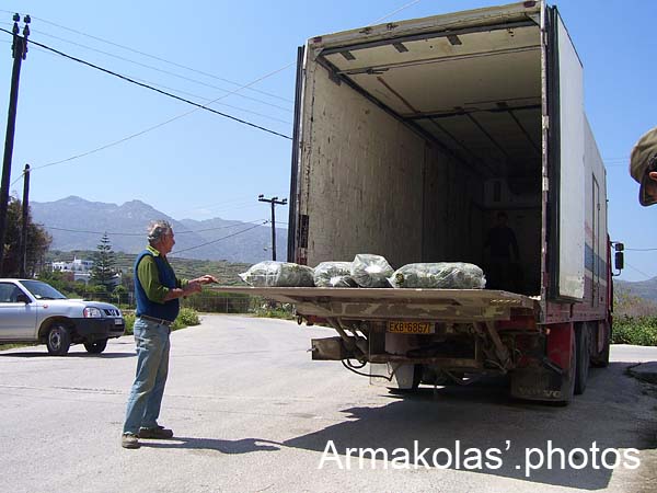 agginara_2006-025