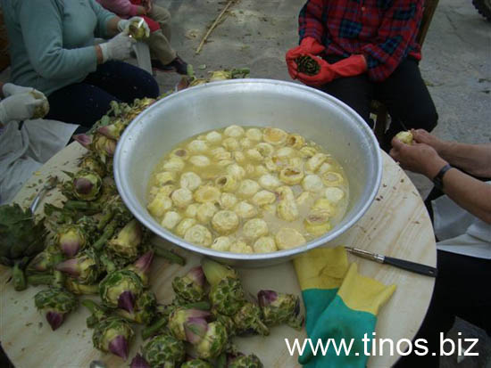 artichoke 014