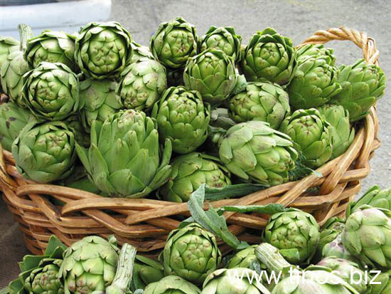 artichoke[88]