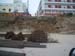 port_tinou-010