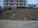 port_tinou-012