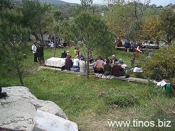 volax2006-013