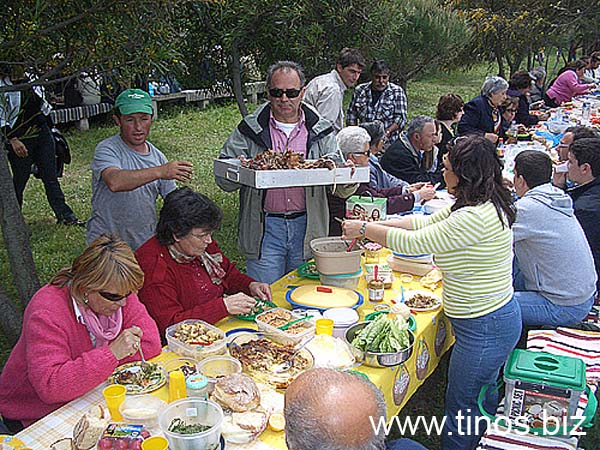 volax2006-016