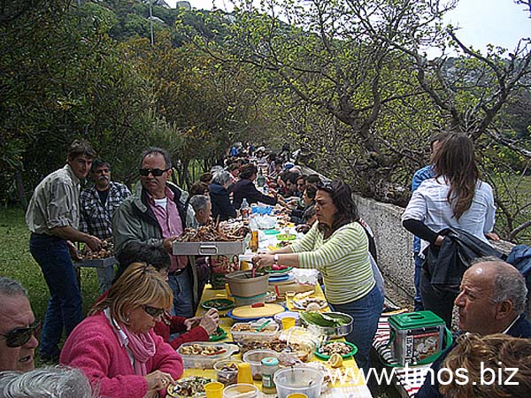 volax2006-017