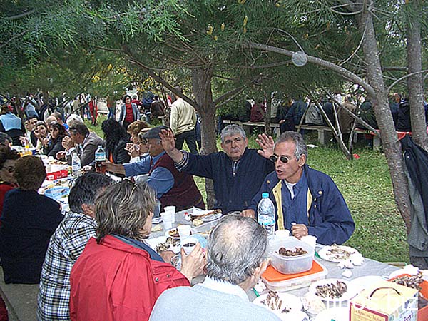 volax2006-073