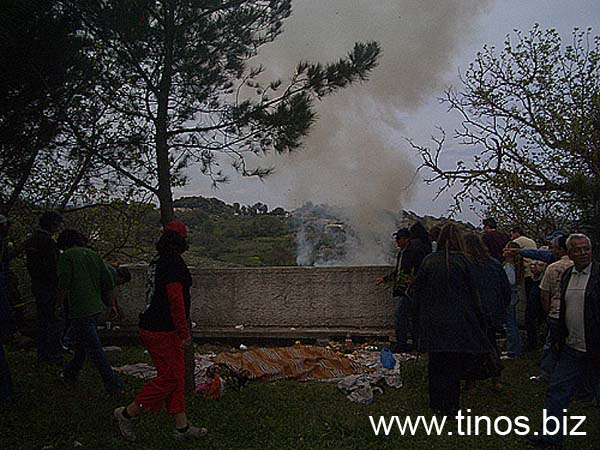 volax2006-074