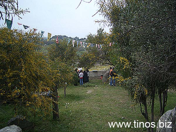 volax2006-082