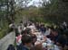 volax2006-021