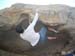 Bouldern 260