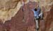 climbing7