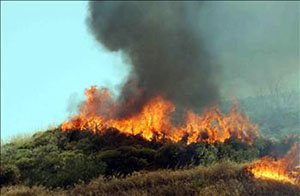 Κλικ για παρουσίαση των πυρκαγιών - Click here for a slideshow of the disaster