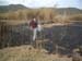 cowherd 068