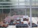 greenhouse 005