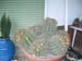 greenhouse 039