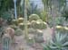 greenhouse 043