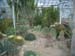 greenhouse 044