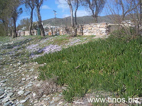 kionia-tinos-107