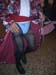 pigkalloni 056