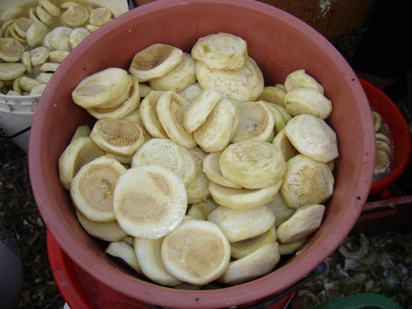 DSC01700
