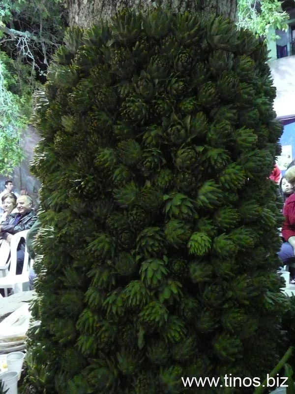 carciofi 122