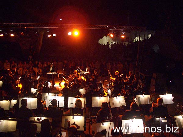large-orchestra-015