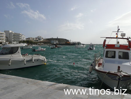 notias 006