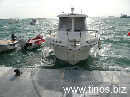 notias 018