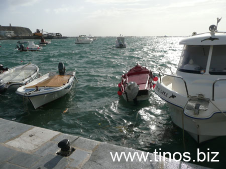 notias 022