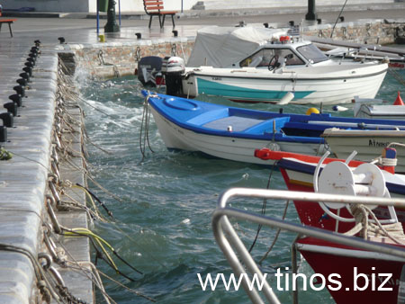 notias 033