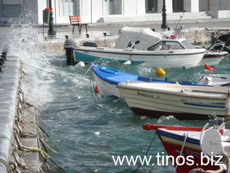 notias 036