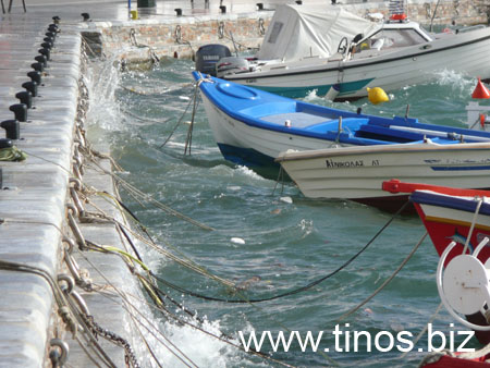 notias 038