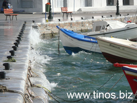notias 039
