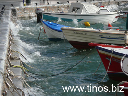 notias 042